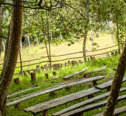 BOSQUE DE LOS CUENTOS