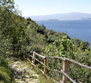 EL CAMINO REAL