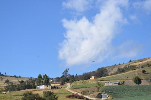 Foto 005 (2)