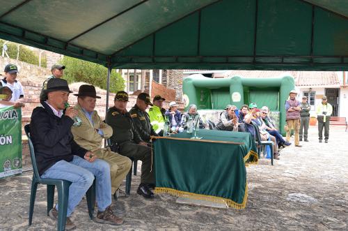 Foto 041 (1)