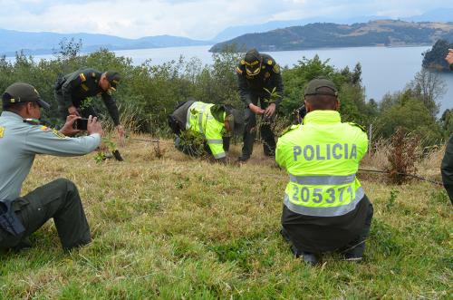 Foto 046 (1)